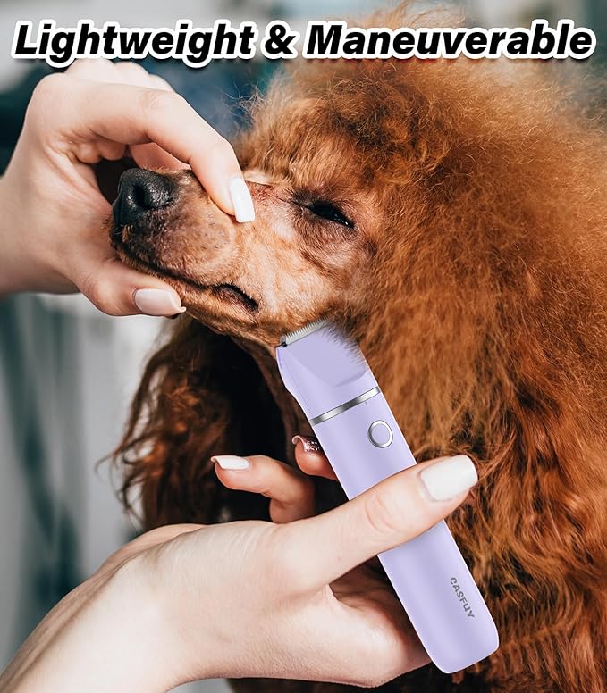 Casfuy Cordless Dog Paw Trimmer - Low Noise Small Dog Clippers with Double Blades USB Rechargeable Grooming Clipper for Dogs Cats and Small Pets for Trimming Hair Around Paws, Eyes, Ears, Face, Rump-PawvioPets