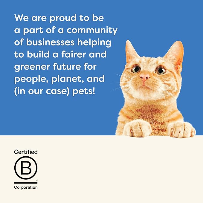 Applaws Natural Cat Treats, Grain-Free, High-Protein Whole Mackerel Loins, Single-Ingredient Healthy Snack for Cats (12 x 1.06 oz Loins)-PawvioPets