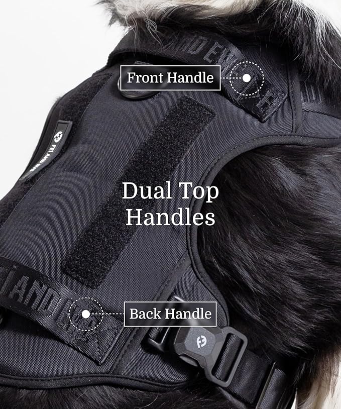 2025 New Edition, Fei & Eve MagEase Dog Harness - 3-Second Magnetic Buckles | 3-Point No-Pull Control | Heavy-Duty 900D Nylon | Dual Safety Handles | Breathable Mesh | Adjustable Fit | Small, Black-PawvioPets