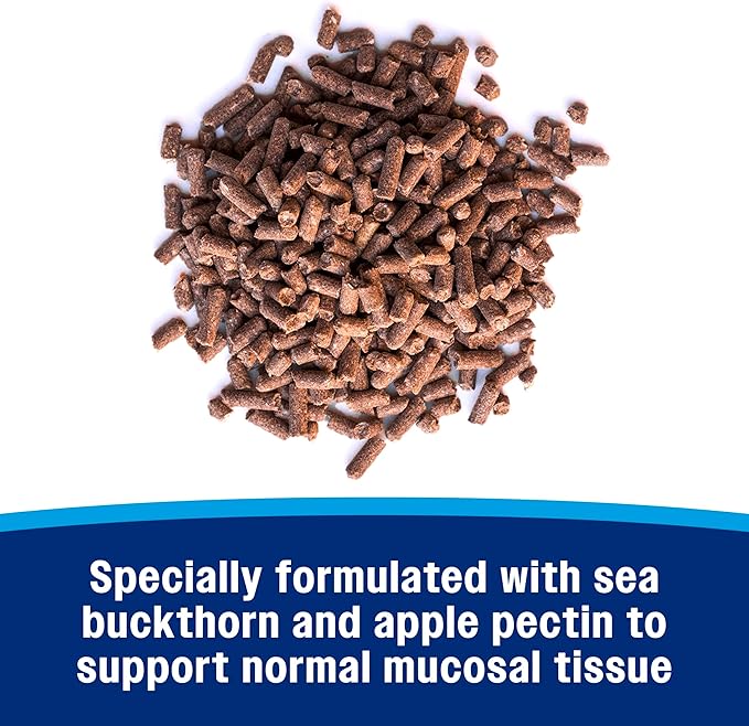 Farnam Gastric Health Pellets, Daily Gut and Digestive Health Supplement for Horses Helps Maintain a Healthy Gastrointestinal Tract and Gut Function-PawvioPets