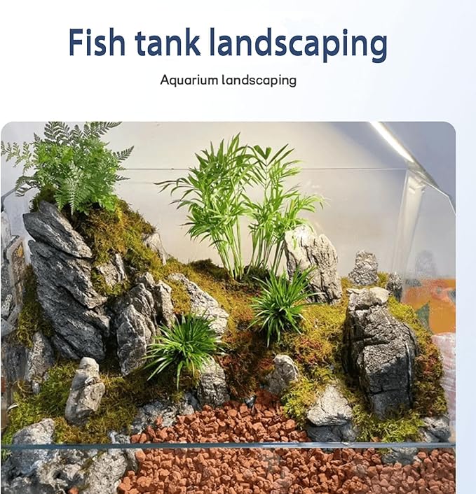 Dragon Stone Aquarium Rock Seiryu Stone for Aquariums, Fish Tanks, Bonsai, Terrariums, Wargaming Dioramas, Indoor or Outdoor Gardens-40Lb(2-10 Inch)-PawvioPets