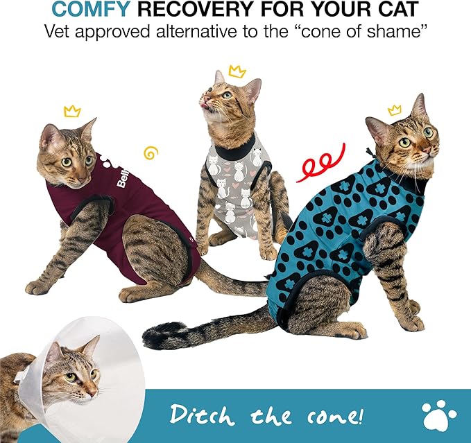 Bellyguard Cat Recovery Suit Female and Male, Comfy Onesie After Surgery, Kitten Clothes for Post-Op Care, Neuter and Spay Healing Outfits for Cats Only – Comfortable Kitten and Adult Cone Alternative-PawvioPets