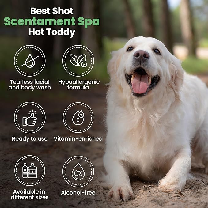 Best Shot Scentament Spa Seasonal Facial & Body Wash, Hot Toddy, 1 Gallon-PawvioPets