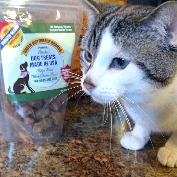 Freeze Dried Chicken Heart Dog Treats Made In USA. All Natural Freeze-Dried Raw Snacks for Dogs and Cats. One Ingredient. High Protein. Heart Health. Irresistible Training Treat-PawvioPets