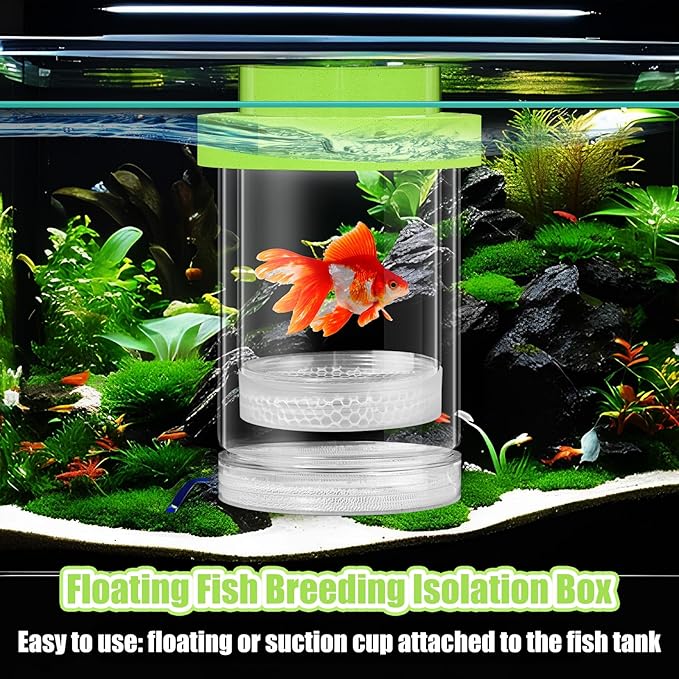 2 Pcs Breeder Box for Fish Tank Aquarium Breeder Separation Net Breeding Box with Suction Cup for Small Fish Shrimp Clownfish Guppy(Green,M)-PawvioPets