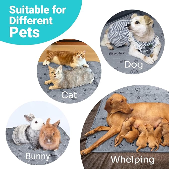 Conkote 72"x72" Washable Pee Pads for Dog Extra Large, Reusable Pee Pads Thick and Heavy Absorbency, Dog Playpen Mat Waterproof Puppy Training Pads for Playpen, Crate, Floor, Bed, Sofa, 1 Pack-PawvioPets
