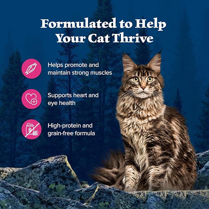 Blue Buffalo Wilderness Wild Delights Meaty Morsels Natural Wet Cat Food, Chicken & Salmon in Tasty Gravy, 3-oz. Cans, 24-Pack-PawvioPets