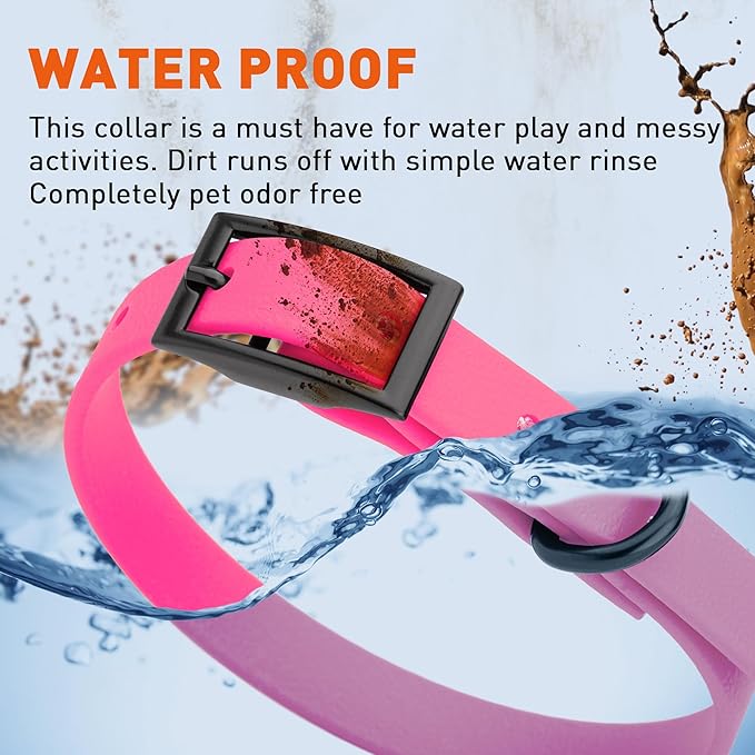 Dogline Biothane Waterproof Dog Collar Strong Coated Nylon Webbing with Black Hardware Odor- Proof for Easy Care Easy to Clean High Performance Fits Small Medium or Large Dogs, Passionfruit Pink-PawvioPets