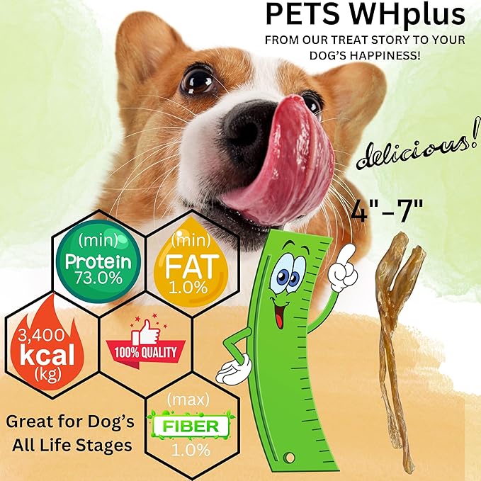 Beef Tendon Dog Treats, Single Ingredient, 100% Natural, Grass-Fed, Long-Lasting Rawhide-Free Chews, Collagen Protein, Dental & Joint Support, 4 oz, Safe & Grain-Free Snack-PawvioPets