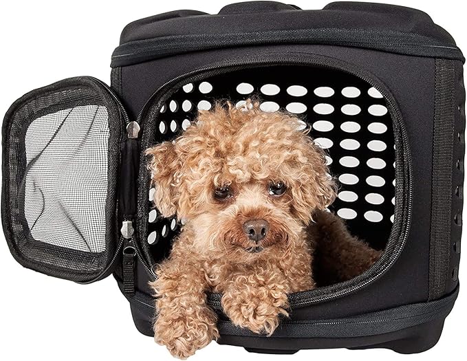 Collapsible Cat Carrier Hard, Travel Pet Carriers Bag for Small Dogs for Car Travel with Ventilation Guinea Pig 2 Small Cats Carrier Cage Dog Crate (Black)-PawvioPets