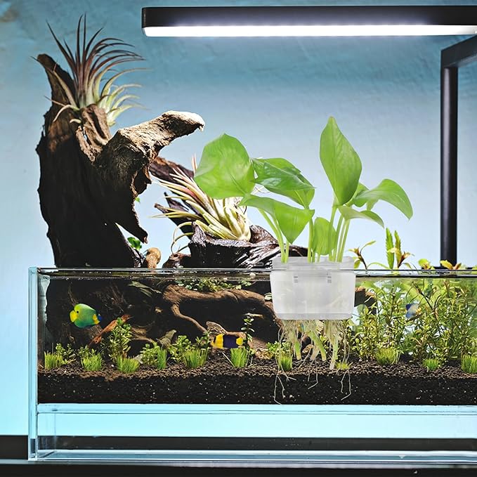 3 Holes Upgraded Aquatic Plant Cup Aquarium Plant Holder for Tank,Hanging Aquarium Plant Holder,Aquarium Aquatic Plant Cultivation,Aquarium Plant Decoration. (White 4PCS)-PawvioPets