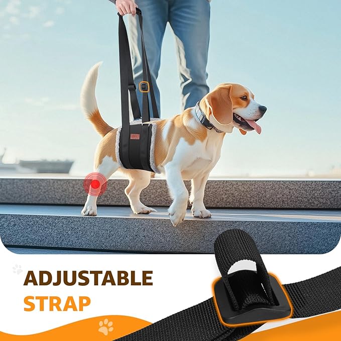 Adjustable Dog Lift Harness, Dog Sling for Large Dogs Hind Leg Support, Soft Lift Support Helps Senior, Injured, Disabled and After ACL Surgery Dogs-Black & Grey (Medium)-PawvioPets