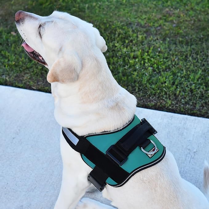 Dogline Dog Harness, Reflective No-Pull Adjustable Vest with Handle for Walking, Training, Breathable, No - Choke Harness for Small, Medium or Large Dogs Room for Patches Girth 15 to 18 in Turquoise-PawvioPets