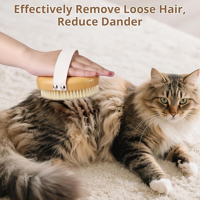 Boar Bristle Cat Brush for Indoor Cats, Cat Hair Brush Gentle Grooming, Reduce Shedding, Soft Hair and Healthy Shine, Bamboo Handheld with Soft Boar Bristles and Band for Short Haired Cats Dogs-PawvioPets
