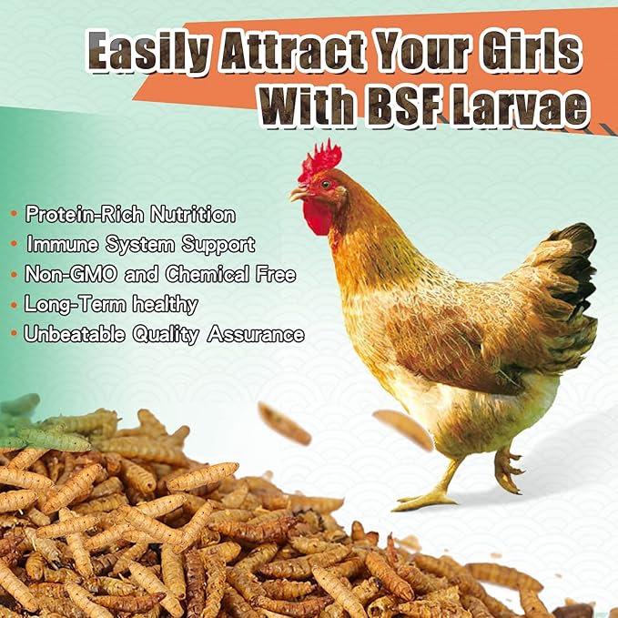Dried Black Soldier Fly Larvae 20LBS, 85X More Calcium Than Mealworms High-Protein BSF Larvae Chicken Treats Non-GMO BSFL for Chickens, Hens, Ducks, Wild Birds-PawvioPets