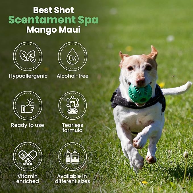 Best Shot Scentament Spa for Pets, Seasonal Facial Spa and Body Wash, Mango Maui, Tearless Shampoo, Hypoallergenic Body Wash, Reduces Tear Stains, 1 Gallon-PawvioPets