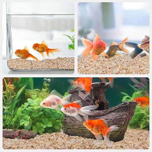 5 lbs Coarse Silica Sand for Indoor Plants, 1/5 Inch Natural Decorative Gravel for Vases, Aquariums, Terrarium, Fish Tank, Drainage Rocks for Potted Plants, Bamboo, Succulent, Crafts, Cactus-PawvioPets