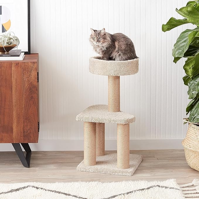 Amazon Basics Cat Tree - Indoor Cat & Kittens Multi-Level Climbing Activity Tower with Scratching Posts, Medium (31.5"H) - Beige-PawvioPets