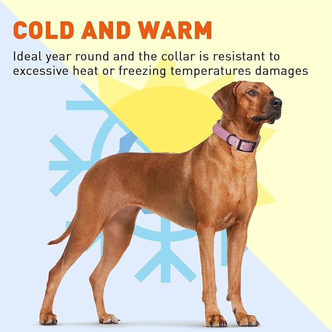 Dogline Biothane Waterproof Dog Collar Strong Coated Nylon Webbing with Black Hardware Odor- Proof for Easy Care Easy to Clean High Performance Fits Small Medium or Large Dogs, Pastel Purple-PawvioPets