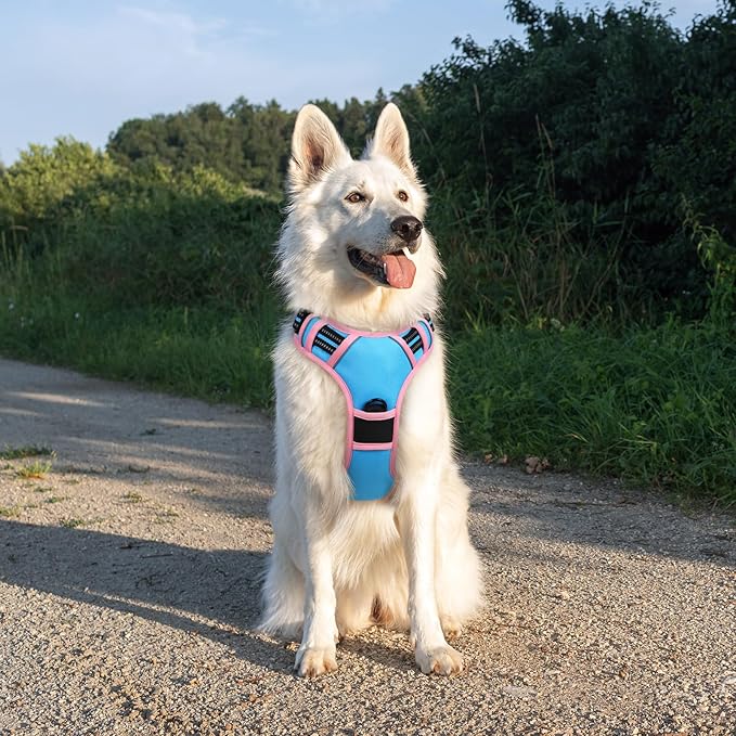 Eagloo Dog Harness for Large Dogs, No Pull Service Vest with Reflective Strips and Control Handle, Adjustable and Comfortable for Walking, No Choke Pet Harness with 2 Metal Rings, Pink & Blue, XL-PawvioPets