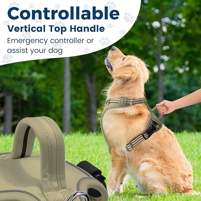 Funfox Dog Harness No Pull, Adjustable Pet Vest Harness, Super Soft Material with Vertical Handle Easy Control, Reflective Night Walking, 2 Leash Clips for Small Sized Dogs, Army Green, S-PawvioPets