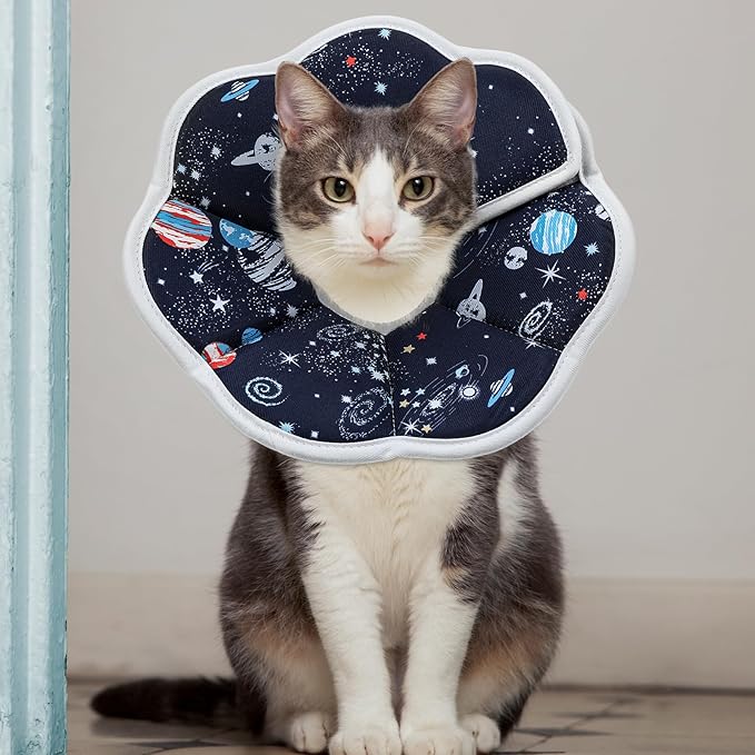 2Pcs Cat Conical Collar Soft Adjustable Cat Collars Water Proof Recovery Collar Prevent Licking Protective Foldable Easy to Eat Drink for Cats Kittens Puppies (Blue S XS)-PawvioPets