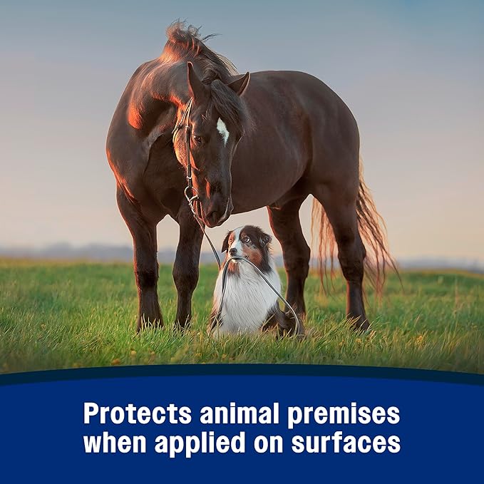 Farnam Repel-X Ready-To-Use Fly Spray, Insecticide And Repellent For Horses And Dogs, 32 Fluid Ounces, 1 Quart Bottle With Trigger Sprayer-PawvioPets