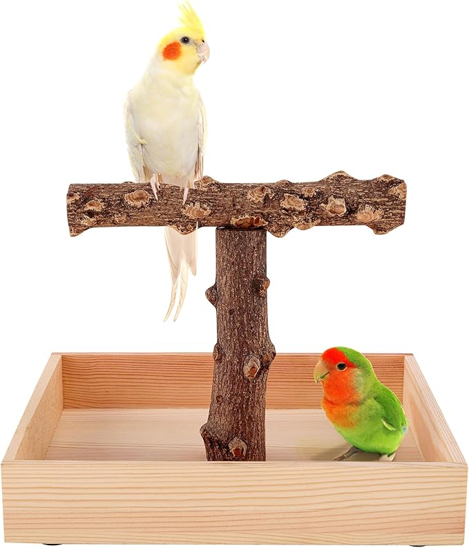 Bird Perch, Portable Tabletop Bird Stand, Training Play T Shaped Stand for Parrot Parakeet Cockatiels Conures Budgies Finch Lovebirds-PawvioPets