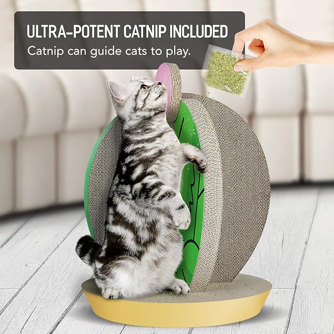 Cat Condo Scratcher Post Cardboard, Cactus Shape Cat Scratching House Bed Furniture Protector, Green Colour-PawvioPets