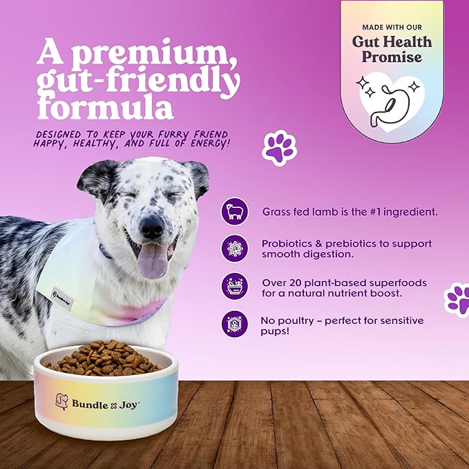 Brave Probiotic Dog Food Dry, Lamb, 4lb Bag, Allergy and Gut-Friendly Adult Kibble for Digestive Health with Grass-Fed Lamb, 20 Plant Based Superfoods, Poultry and Grain Free-PawvioPets