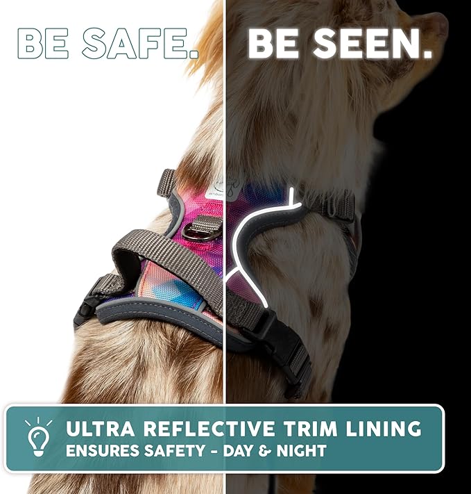 Embark Adventure Dog Harness, Reflective Trim No Pull Dog Harness Medium Sized Dogs - Military Grade Nylon, Front Clip with Gel Lined Handle.-PawvioPets