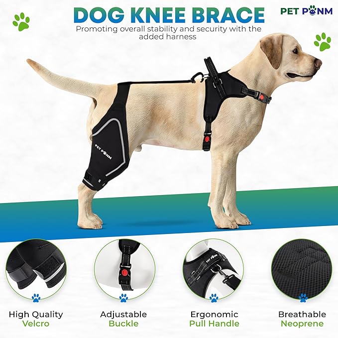 Dog ACL Knee Brace for Back Left Leg - with Integrated Harness - for Cruciate Ligament Injuries, Patellar Luxation, Post-Surgery Recovery. Durable, Breathable Material, Eases Pain - (XLarge)-PawvioPets