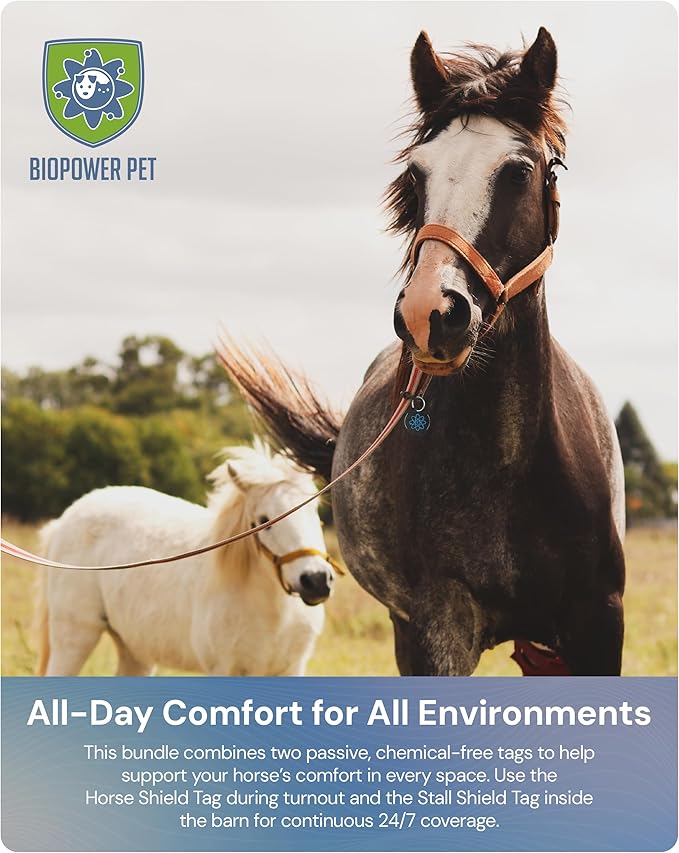 BioPower Natural Fly & Tick Repellent for Horses - Horse Shield and Stall Tags with 1-Year Bioresonance Protection – Chemical-Free, Waterproof Carbon Tag Clips to Halter – Holistic & Safe Pest Defense-PawvioPets