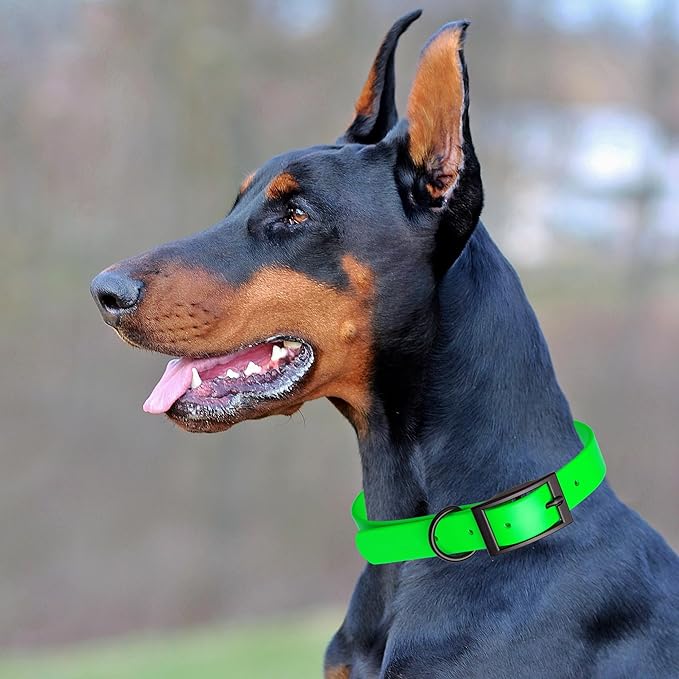 Dogline Biothane Waterproof Dog Collar Strong Coated Nylon Webbing with Black Hardware Odor- Proof for Easy Care Easy to Clean High Performance Fits Small Medium or Large Dogs, Tropical Green-PawvioPets
