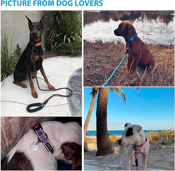 Heavy Duty Dog Leash - Comfortable Padded Handle, 5 ft Long - Dog Leashes for Small Medium Large Dogs (Leash+Collar S Neck 13.5"-16", Purple)-PawvioPets