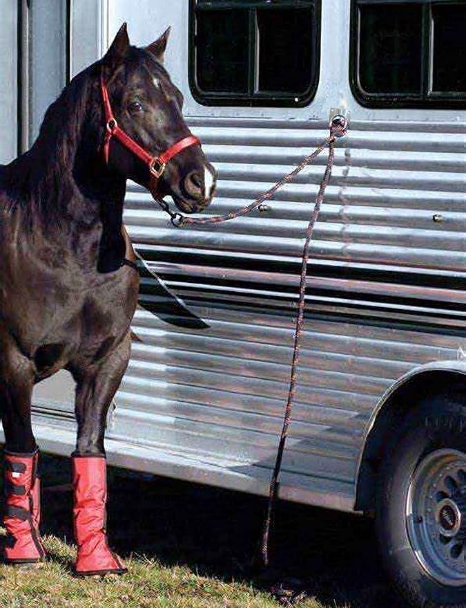 Cross Tie Ring for Horses, Block Tie Ring for Horse Stall/Stable, Tie Down Horse Barn Supplies (4 Pack)-PawvioPets