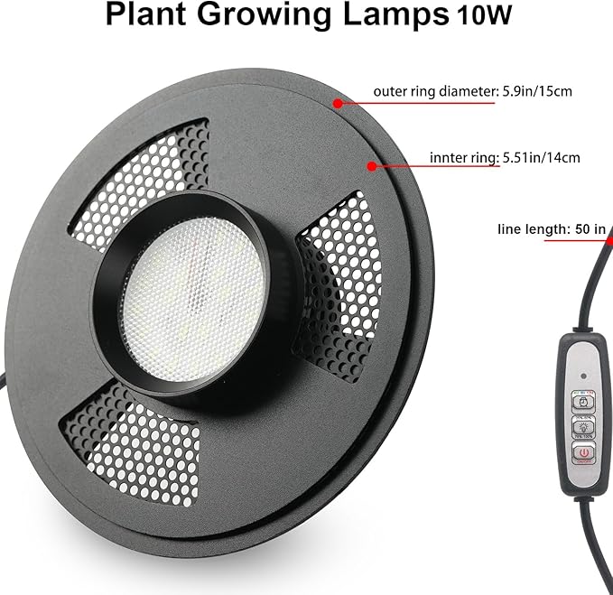 Desktop Glass Plant Terrarium with Grow Light(L7.8 W7.8 H14), for Succulent, Moss, Miniature Gardening Landscape, Betta Fish Tank, Indoor Plant Growth, Office Home Decoration (TimeControlled)-PawvioPets