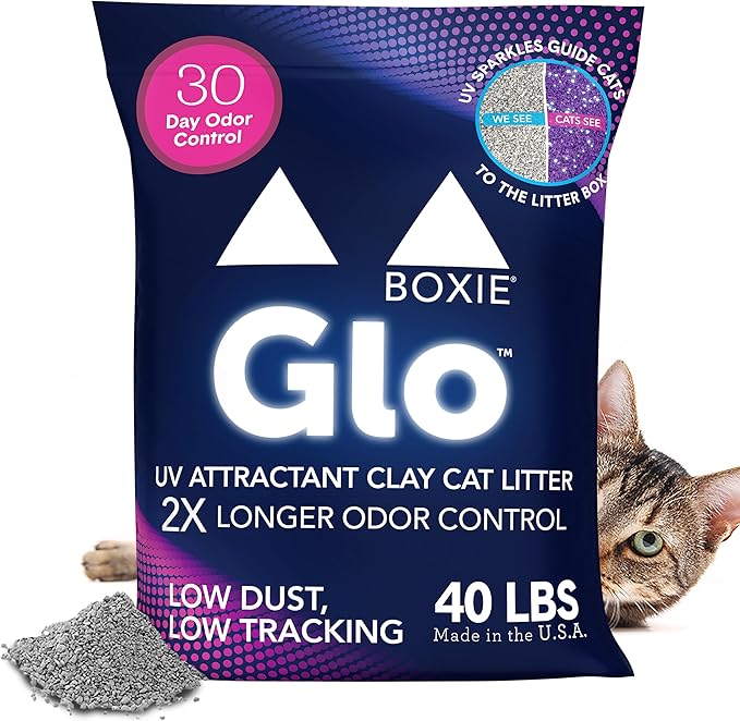 Boxie® Glo™ 30 Day Odor Control Clumping Clay Cat Litter, 40 lb, Multi-Cat, 99.9% Dust-Free, Low Tracking, UV Light Attractant, Superior Clumping for Easy Scooping-PawvioPets