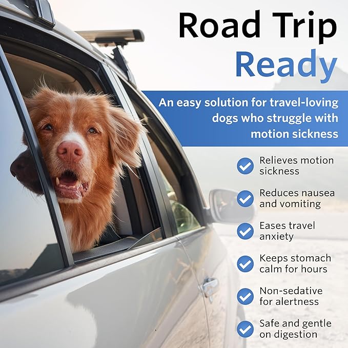 Anti-Motion Sickness and Nausea Relief for Medium Breed Dogs, Relief for Disorientation and Dizziness, 20 Tablets-PawvioPets