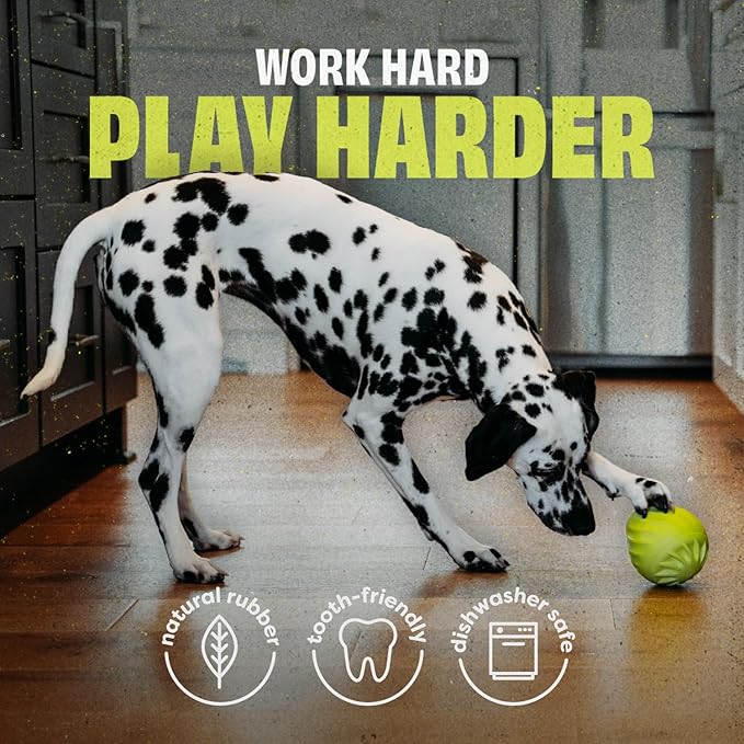 Benebone Pawbler - Natural Rubber Interactive Enrichment Treat and Kibble Dispensing Dog Toy – Great for Boredom - Medium/Large-PawvioPets