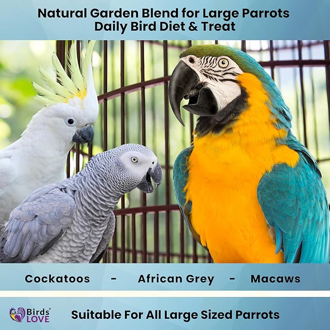 Birds LOVE All Natural Garden Blend Bird Food for Parrots 2lb-PawvioPets
