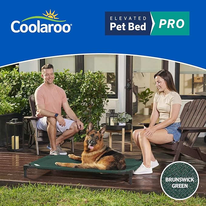 Coolaroo Pro Elevated Dog Bed - Low-Profile Access, Moisture-Resistant Cover, Breathable Fabric & Tool-Free Setup, Brunswick Green, Standard-PawvioPets