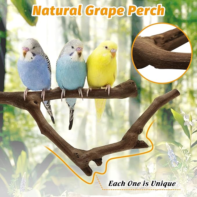 6Pcs Natural Wooden Bird Perch Grape Stick Claw Grinding Fork Bird Perching Branch Claw Grinding Stick Parrot Standing Platform Parrot Cage Chewing Accessories for Parrots Lovebirds Parakeets-PawvioPets