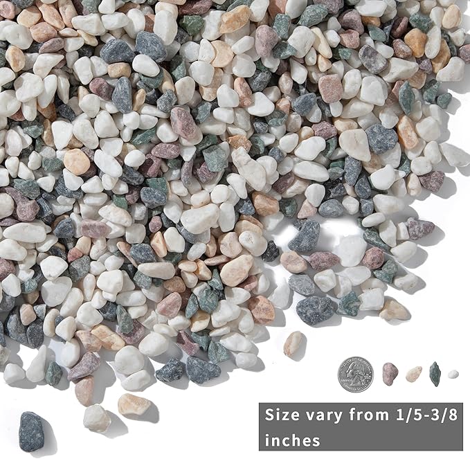 5lb Succulent and Cactus Gravel Pebbles 1/5-3/8 Inch Natural Decorative Polished Stones River Rocks for Plants, Vases, Aquariums, Terrarium and Outdoor Gardening, Mixed Color-PawvioPets