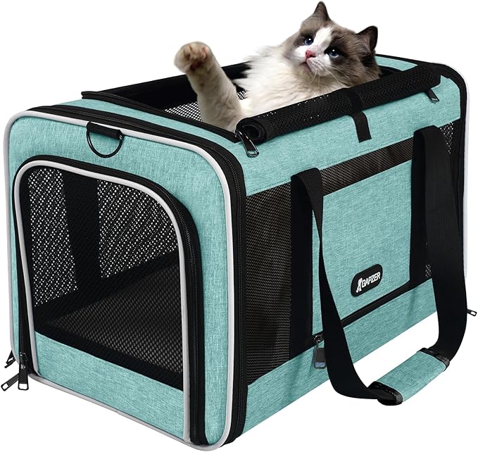 Cat Carrier 18"x11"x11" TSA Approved Ventilated Top Open Softsided Pet Air Travel Bag, Small Animal Basic Crate Shih Tzu Dog Kennel Carry Case, 4-Mesh-Side Kitty Carry on up to 20lbs Teal-PawvioPets