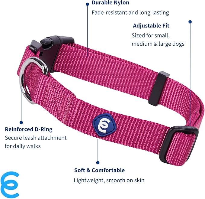Blueberry Pet Essentials Small Dog Collar in Very Berry | Adjustable & Eco-Friendly Durable Nylon Strap | Classic Collar for Small Dogs, Boy & Girl Pets-PawvioPets