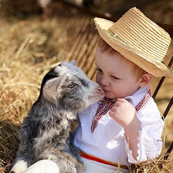 Blue Mountain Hay | Fresh Organic Meadow Hay (40 Ounce) | Mimics Natural Forage | High-Altitude Hay Pet Food for Rabbits, Guinea Pigs, Chinchillas, Hamsters, and Other Small Pets-PawvioPets