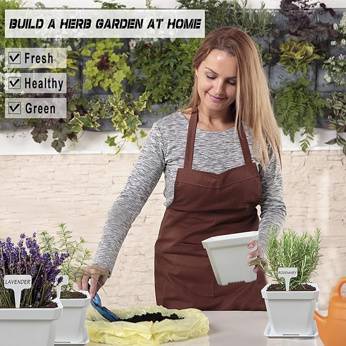 10 Herb Seeds Garden Starter Grow Kit with White Pots, Markers, Nutritional Soil, Watering, Herb Clipper, Complete Indoor Potted Plant Growing Set for Kitchen DIY-PawvioPets