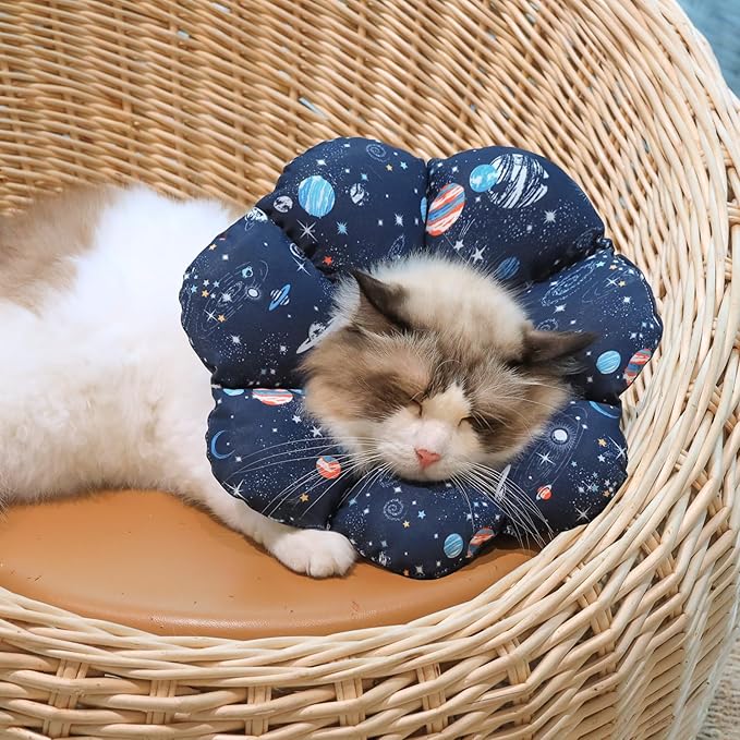 ComSaf Soft, Protective Adjustable Cat Cone Collar to Stop Licking After Surgery, Comfortable Lightweight Elizabethan Collar for Large Cat and Small Dog, Dog Recovery Collar Prevents Licking Wounds-PawvioPets