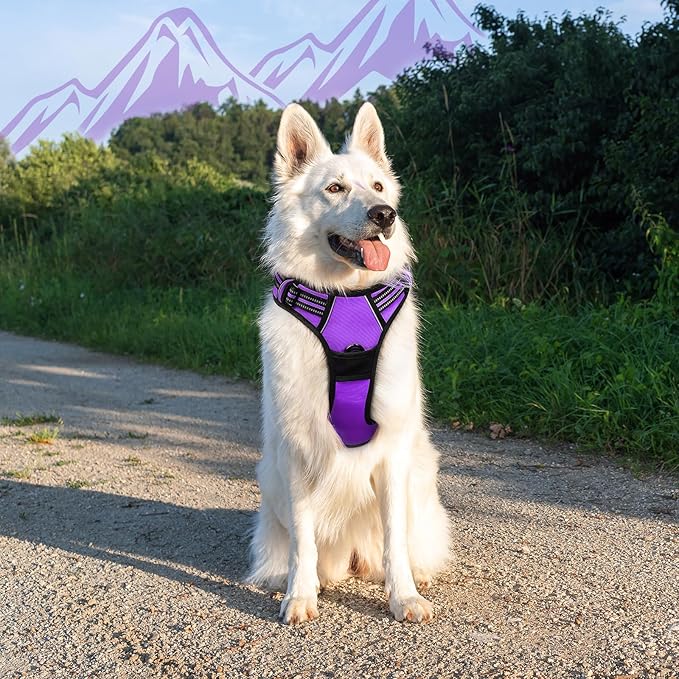 Eagloo Dog Harness for Large Dogs, No Pull Service Vest with Reflective Strips and Control Handle, Adjustable and Comfortable for Walking, No Choke Pet Harness with 2 Metal Rings, Purple, XL-PawvioPets